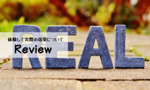 効果レビュー